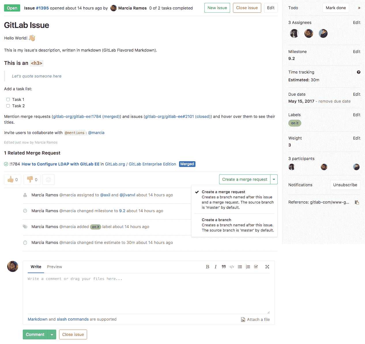 Issue view