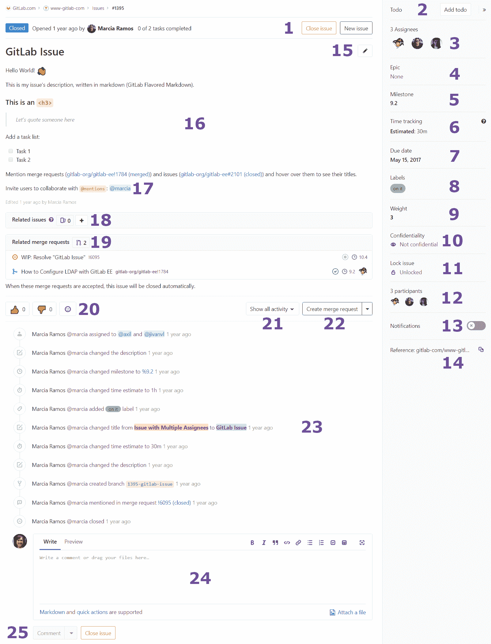 Issue view