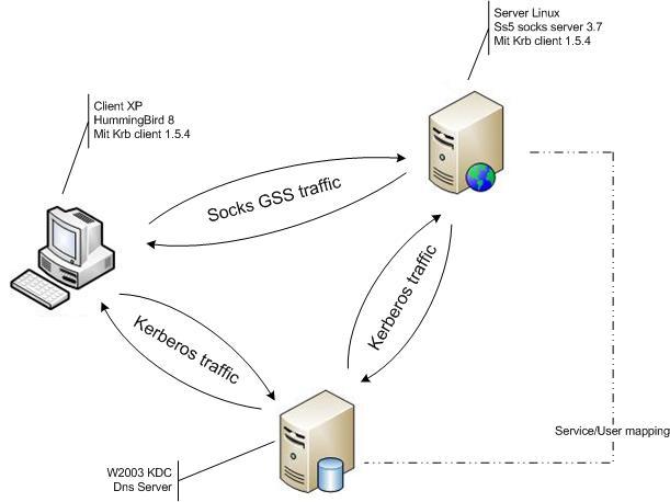 Scenario-MSKDC